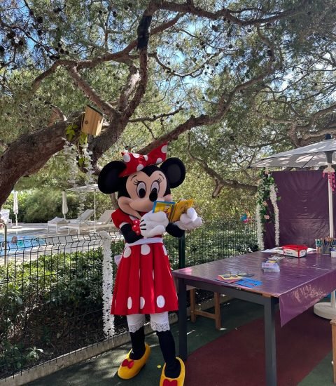 ^h minnie st jean hotel